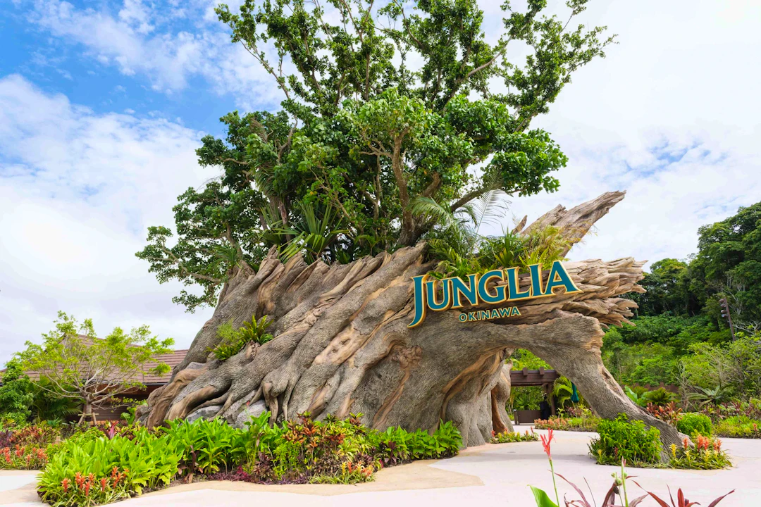 Junglia Okinawa Ticket Price